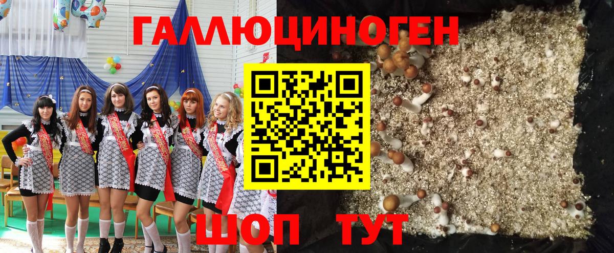Псилоцибиновые грибы Psilocybe  Вход с VPN  цена наркотик  Североуральск 
