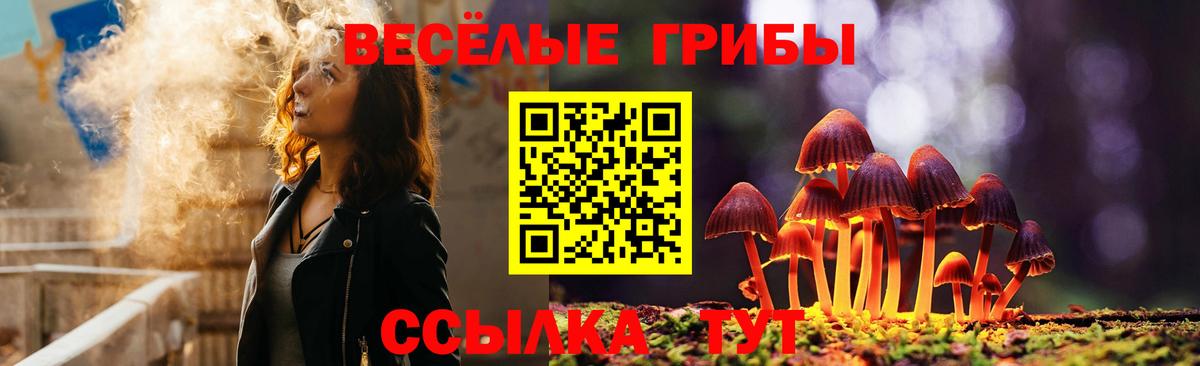 Псилоцибиновые грибы Psilocybine cubensis Североуральск
